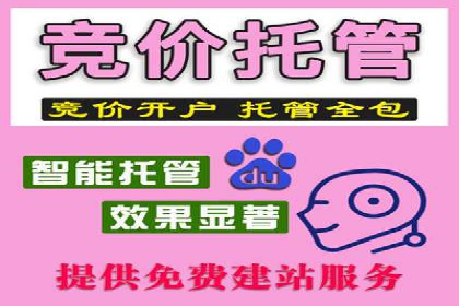 百度推广服务费案例：打造爆款产品营销策略